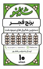 فجر
